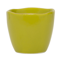 Urban Nature Culture - Bonjour - Coquetiers - pois cassés - lot de 2