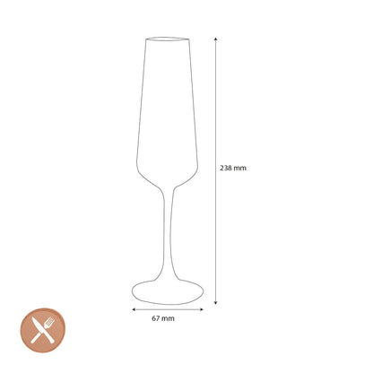Leonardo - PALADINO Champagne Glazen 220 ml - 6 stuks Champagne glazen Leonardo 