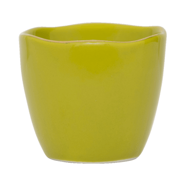Urban Nature Culture - Bonjour - Coquetiers - pois cassés - lot de 2